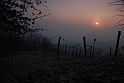 S. Damiano d'Asti - Alba_016